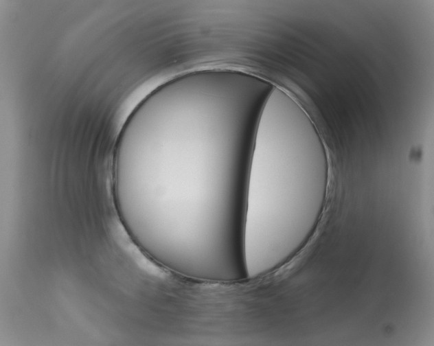 X0000114030812200910021039