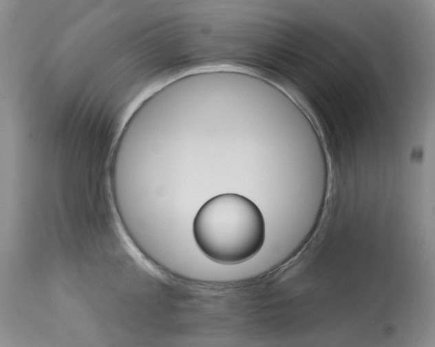 X0000114030813200910021039