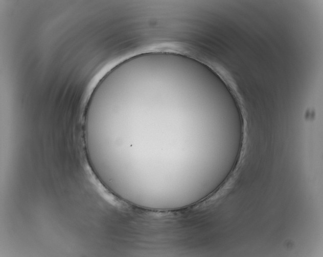 X0000114030816200910021039