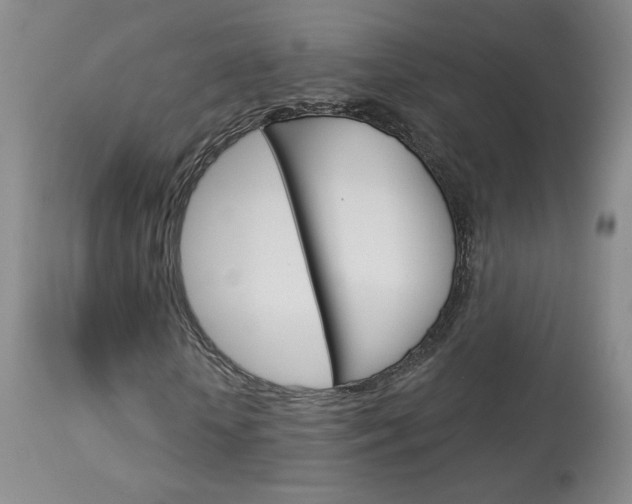 X0000114030818200910021039