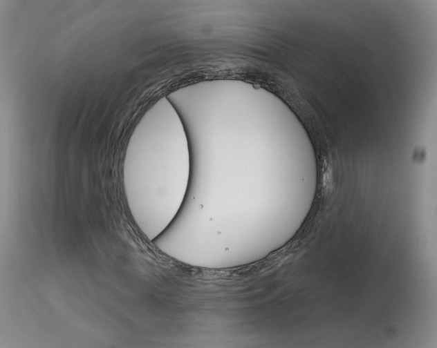 X0000114030819200910021039