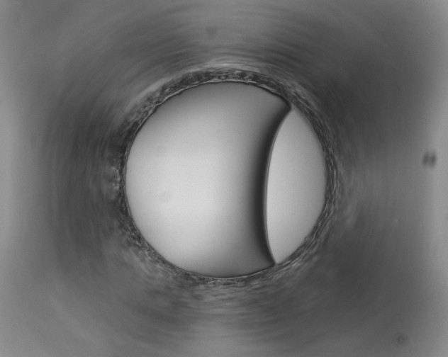 X0000114030821200910021039