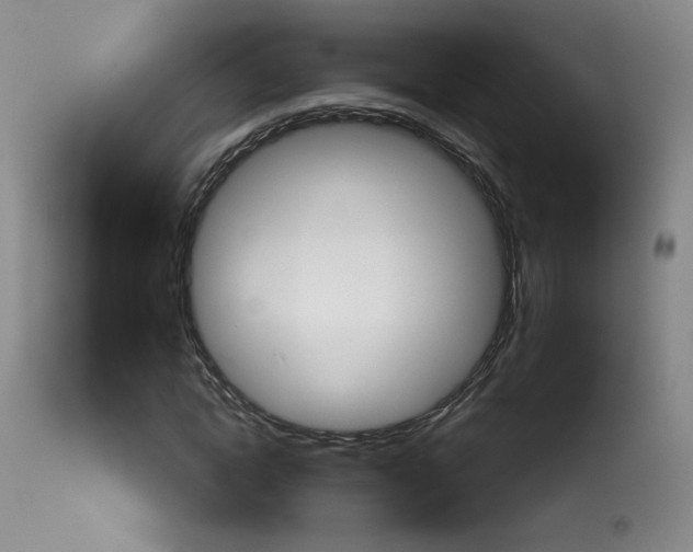X0000114030822200910021039