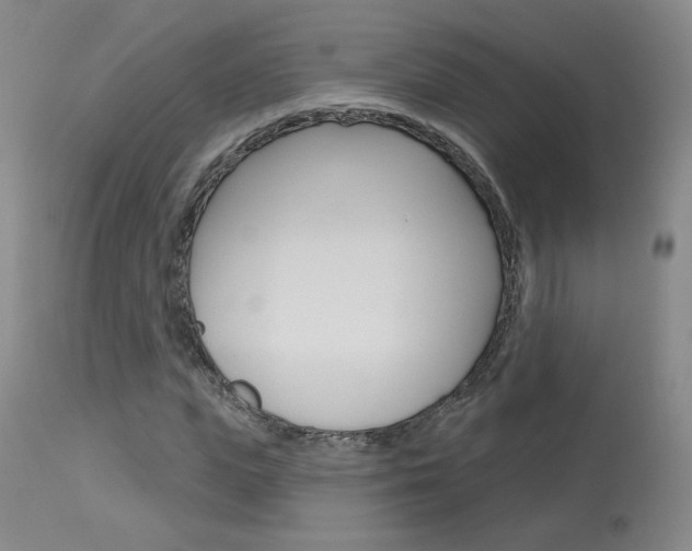X0000114030823200910021039