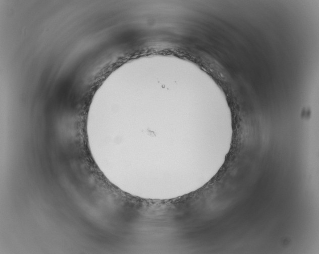 X0000114030824200910021039