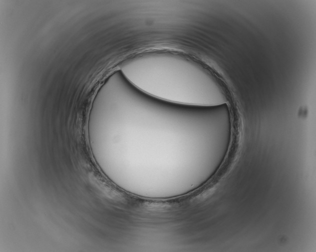 X0000114030825200910021039