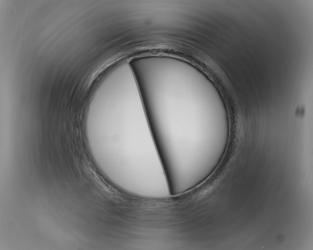 X0000114030826200910021039