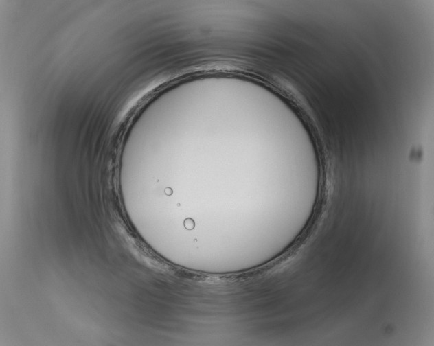 X0000114030827200910021039