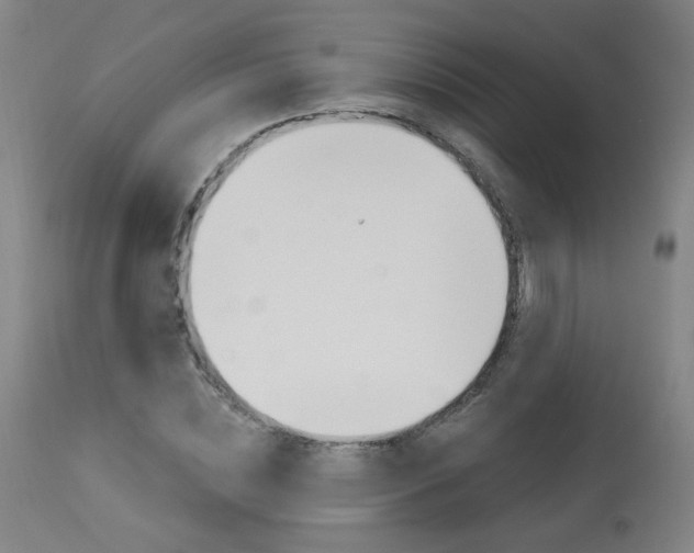X0000114030828200910021039