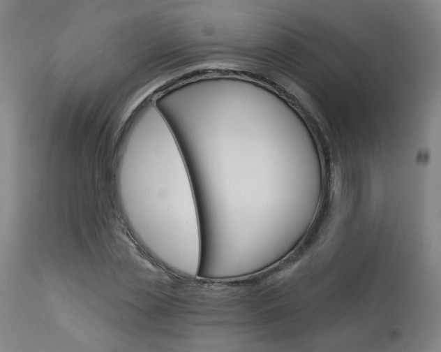 X0000114030829200910021039