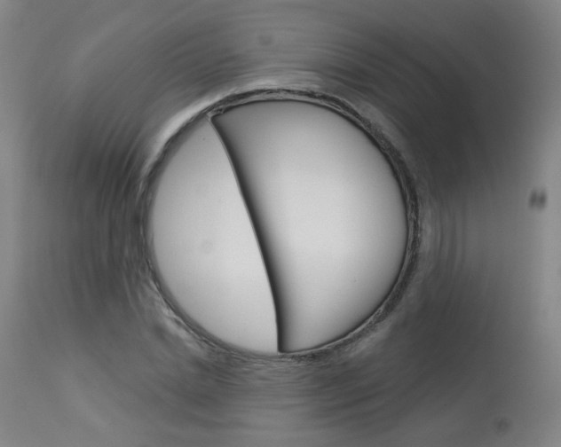 X0000114030830200910021039