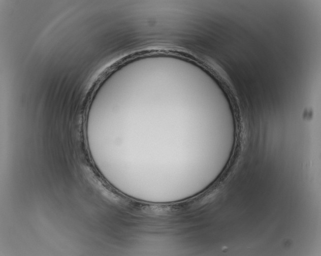 X0000114030831200910021039