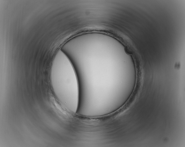 X0000114030833200910021039