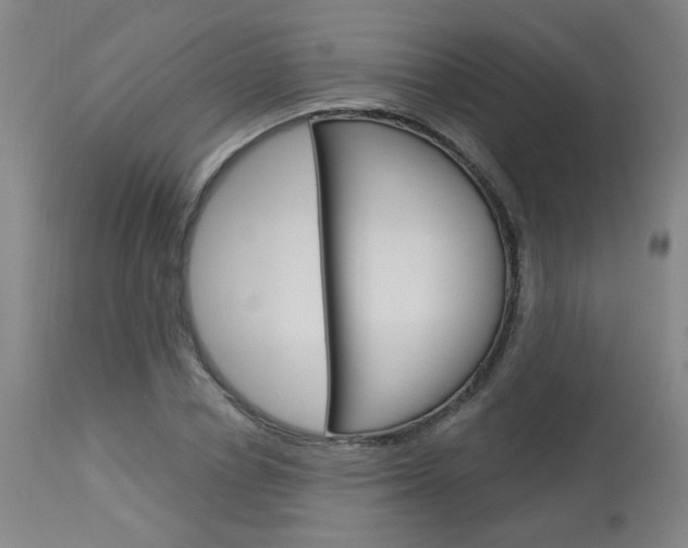 X0000114030834200910021039