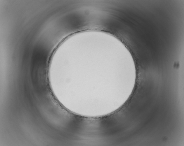 X0000114030836200910021039
