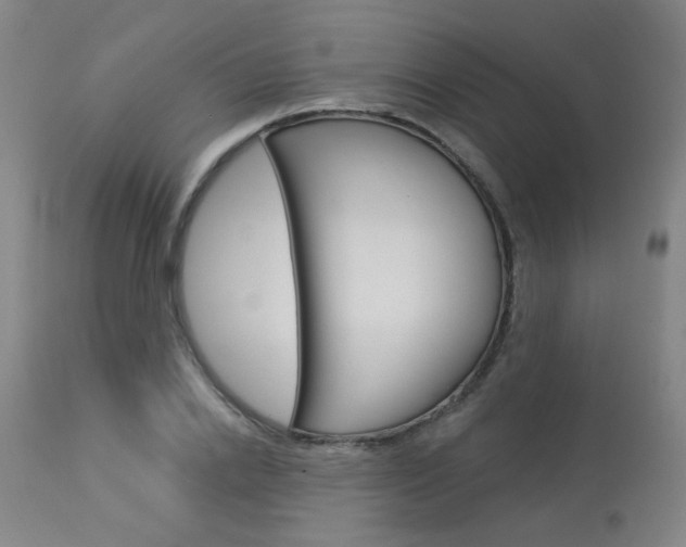 X0000114030838200910021039