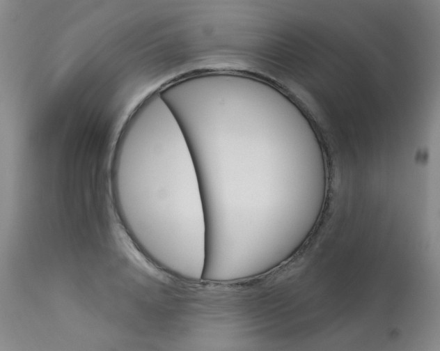 X0000114030840200910021039