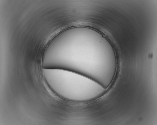 X0000114030841200910021039