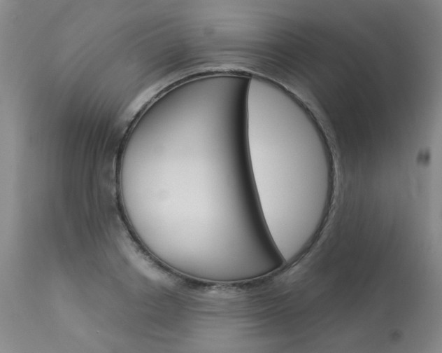 X0000114030842200910021039