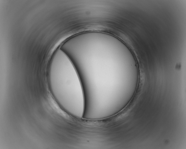 X0000114030843200910021039