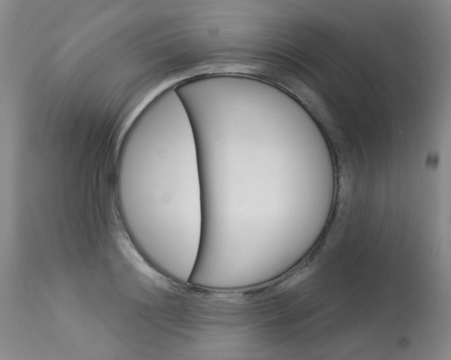 X0000114030844200910021039