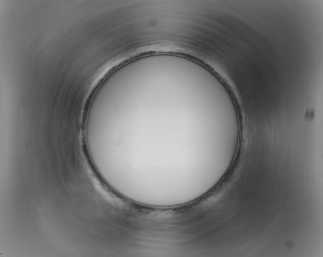 X0000114030845200910021039