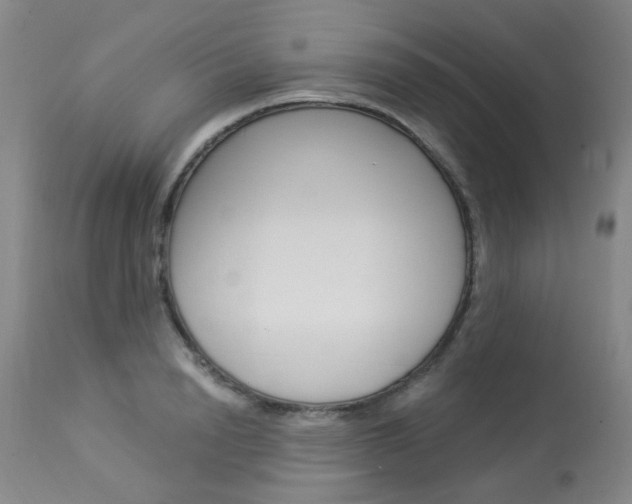 X0000114030846200910021039