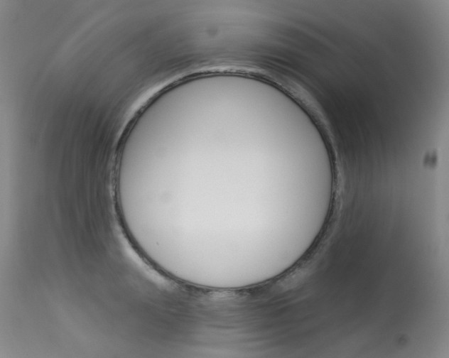 X0000114030847200910021039