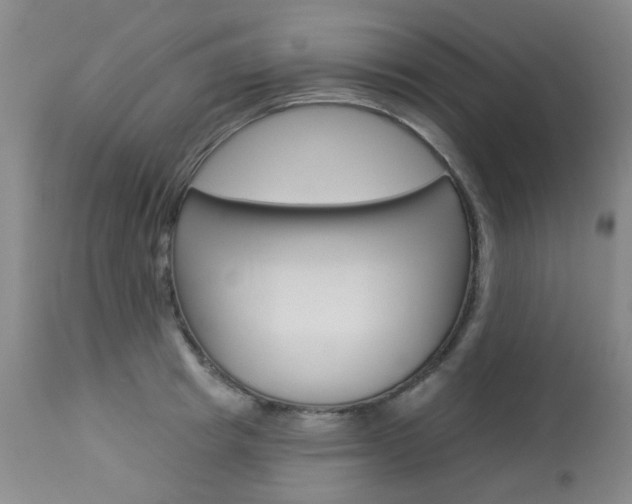 X0000114030849200910021039