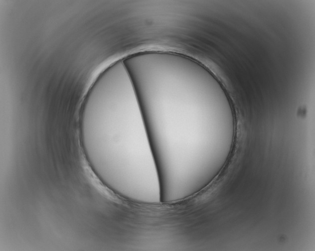 X0000114030854200910021039
