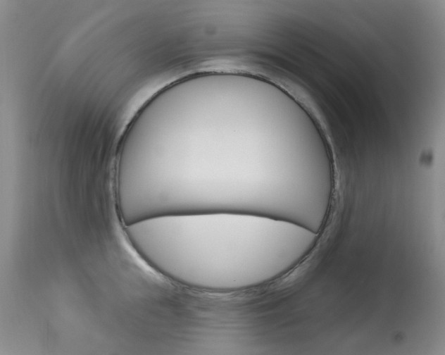 X0000114030855200910021039