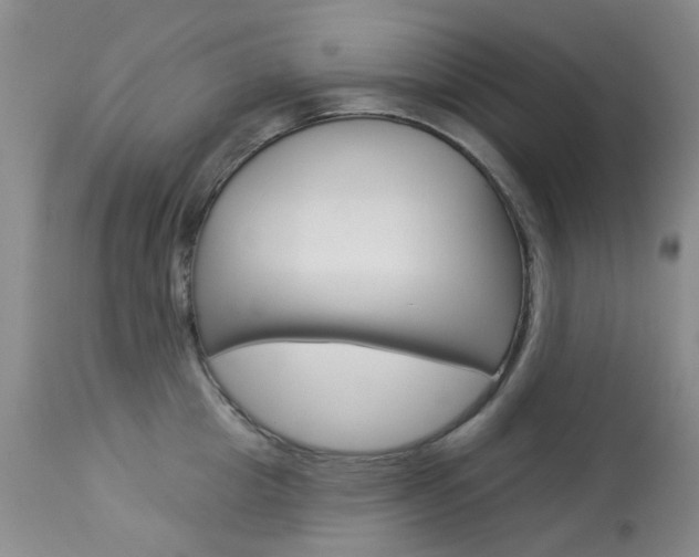 X0000114030857200910021039