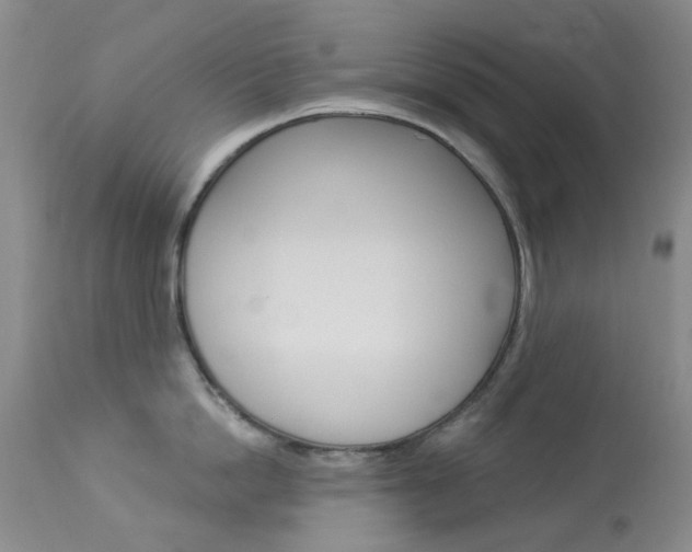 X0000114030862200910021039