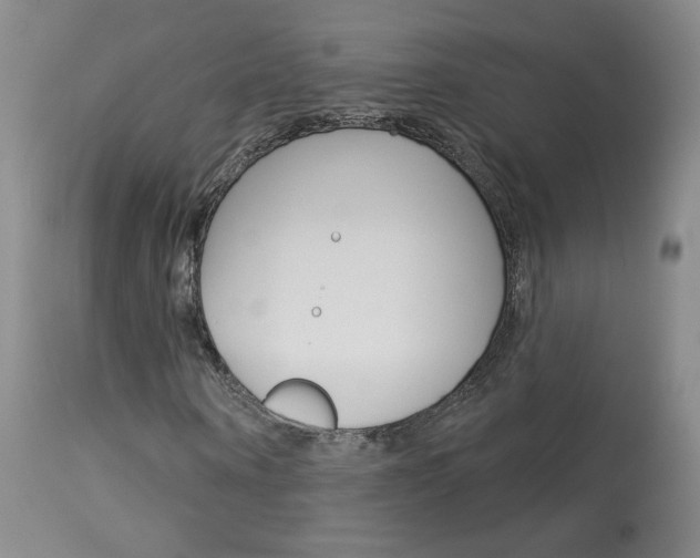 X0000114030866200910021039