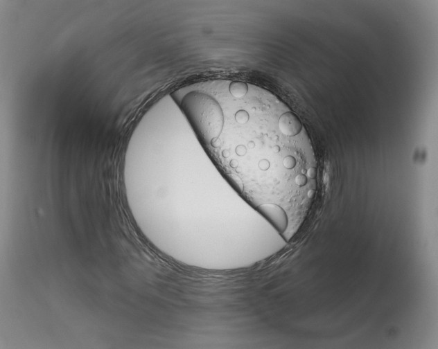 X0000114030867200910021039