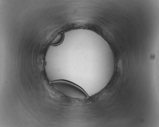 X0000114030868200910021039