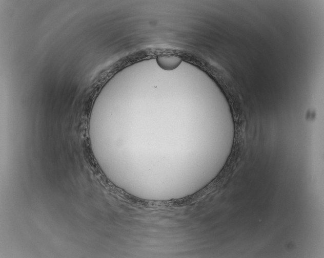 X0000114030870200910021039