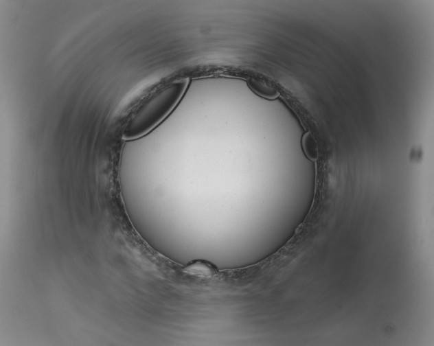 X0000114030872200910021039