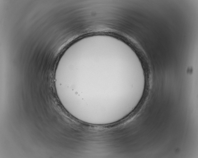 X0000114030873200910021039