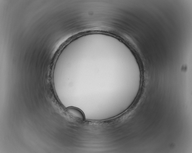 X0000114030875200910021039