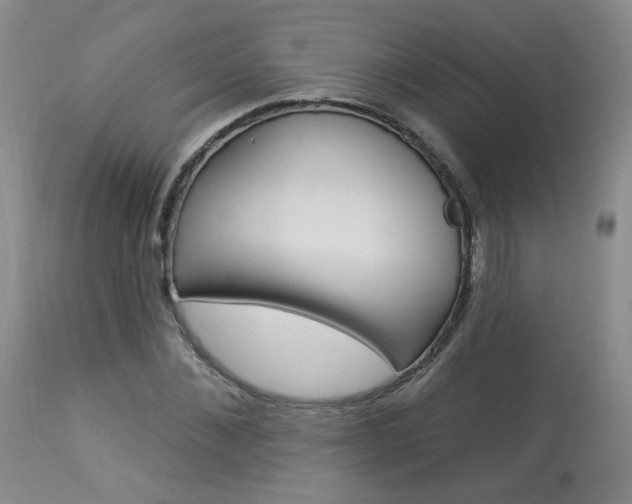 X0000114030876200910021039