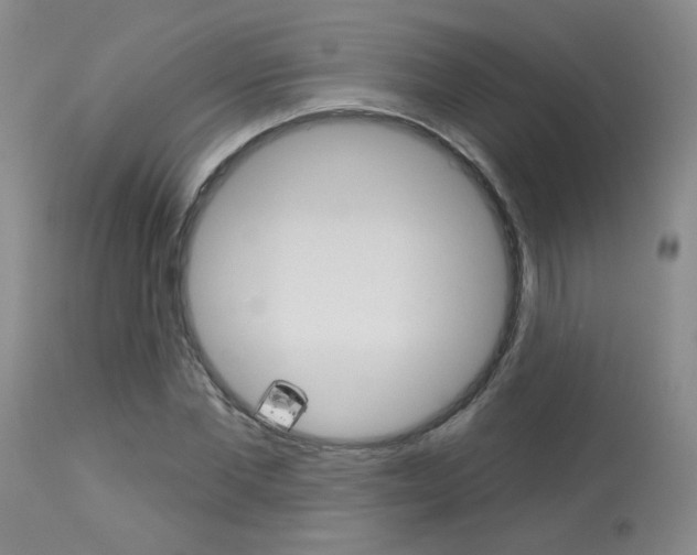 X0000114030877200910021039