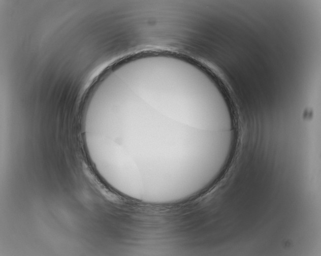 X0000114030878200910021039