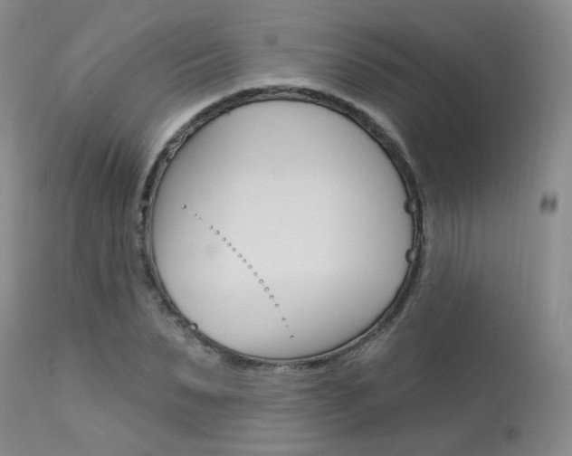 X0000114030879200910021039