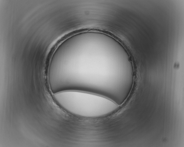 X0000114030880200910021039