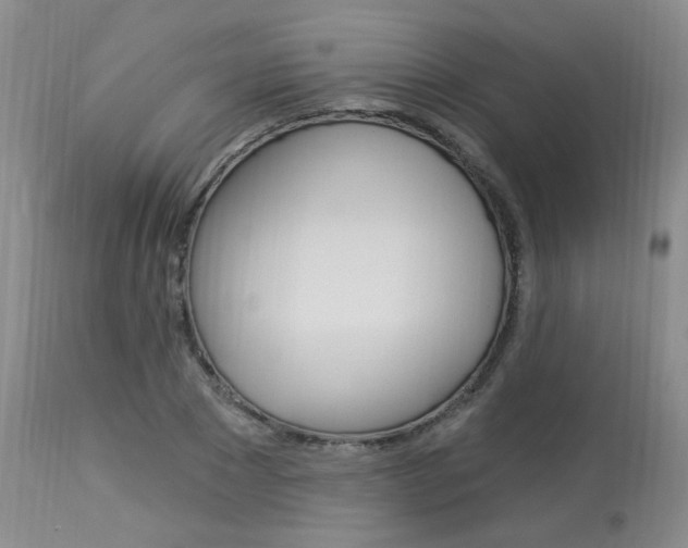 X0000114030881200910021039