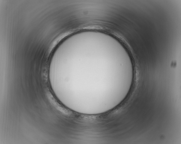X0000114030882200910021039