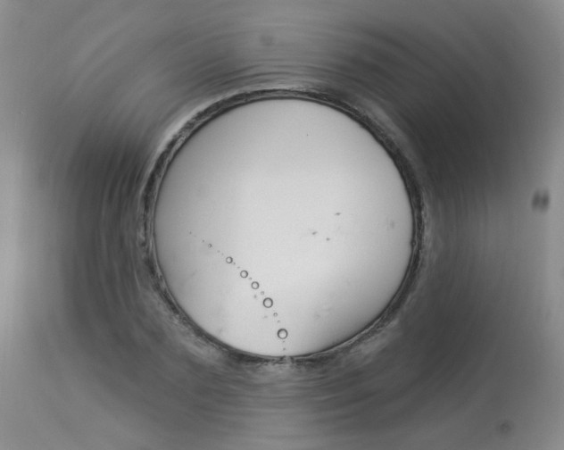 X0000114030883200910021039