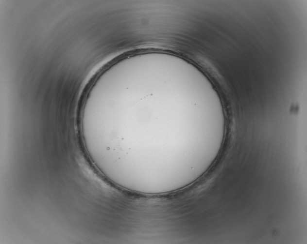 X0000114030884200910021038