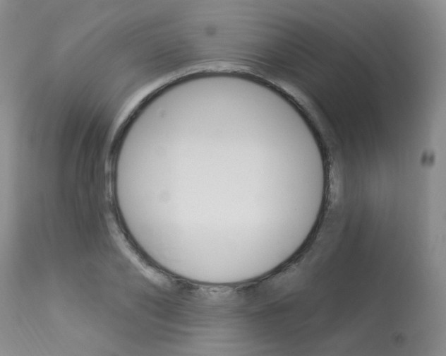 X0000114030886200910021038